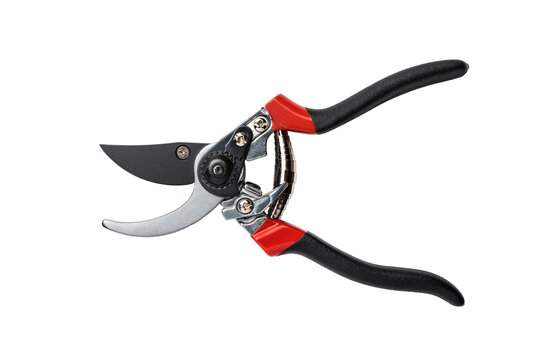 Secateurs. The hand tool is designed to remove shoots and small branches when forming the crown of small trees and shrubs. Isolated on transparent background. Open state. Top view.