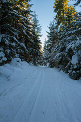 Fototapeta na wymiar Ski tracks in snow.