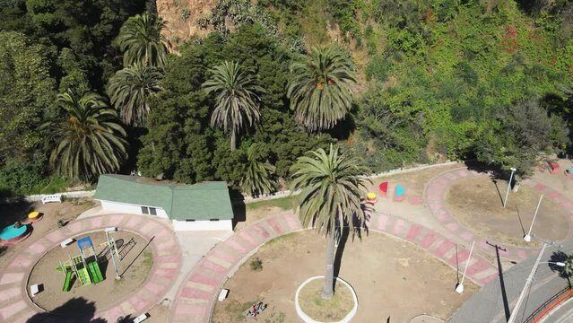 Horizontal pan to the left, over Rub&eacute;n Dar&iacute;o square. Direct view on its main tree, palm trees and vegetation of the square. Plan of the viewpoint promenade in Altamirano street. Sunny spring morning.
