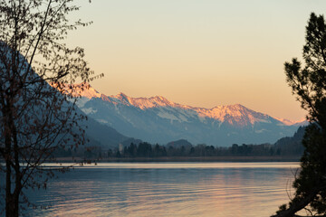 Later afternoon at the coast of the lake of Thun in the Krattigen area in Switzerland