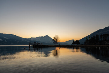 Fototapeta premium Evening mood at the lake of Thun in Unterseen in Switzerland