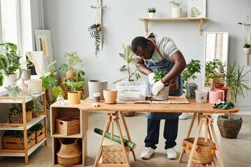 Fototapeta na wymiar Full length portrait of black man as male gardener repotting plants indoors at wooden table, copy space