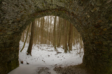 Medieval bridge in forest.
