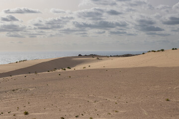 Fototapeta na wymiar Desert and Atlantic ocean, Fuerteventura