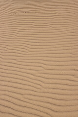 Wavy texture of a sand, Fuerteventura