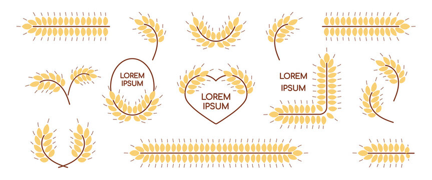 Set of wheat ears icons. Rye, barley, cereal design templates and frames with copy space for logo. Grain sign collection. Hand drawn bread, beer symbols. Vector illustration