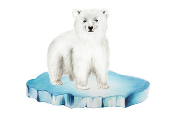 Watercolor polar white bear on an ice floe isolated on white background. Hand painting realistic Arctic and Antarctic ocean mammals. For designers, decoration, postcards, wrapping paper, scrapbooking