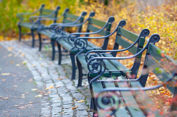 Benches in the city park. Long row of empty benches