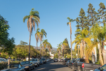 Street surrounded by palms in Santa Barbara