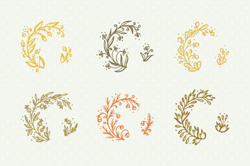 Flowers. Berry sprigs. Hand Drawn doodle floral design elements - Vector Set