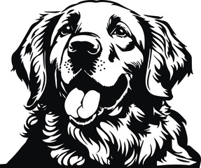 Golden retriever head dog Vector illustration
