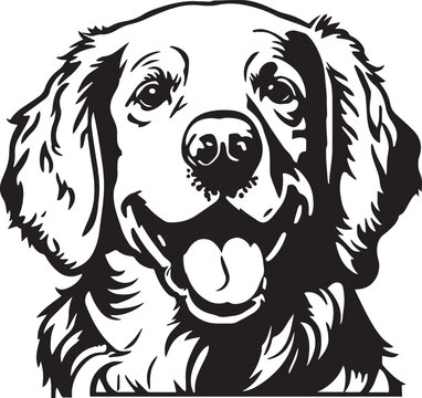 Golden retriever head dog Vector illustration
