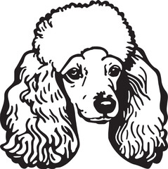 Poodle head dog vector illustration
