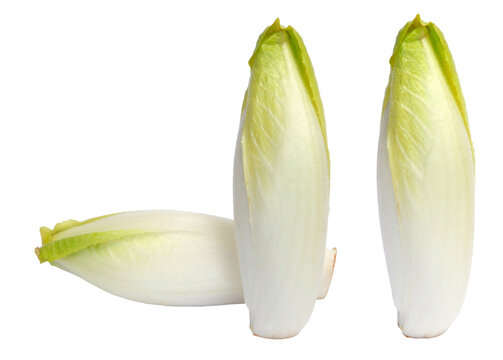 Endives blanches	