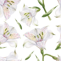 Seamless pattern of white alstroemeria flowers. Romantic composition for weddings and Valentines Day. Floral watercolor illustration for textiles, greetings and invitations