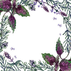 frame of basil and rosemary