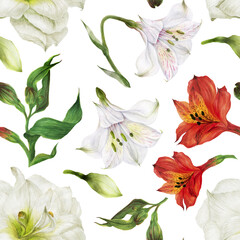 Seamless pattern of white and red alstroemeria flowers. Romantic composition for weddings and Valentines Day. Floral watercolor illustration for textiles, greetings and invitations