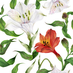 Seamless pattern of white and red alstroemeria flowers. Romantic composition for weddings and Valentines Day. Floral watercolor illustration for textiles, greetings and invitations