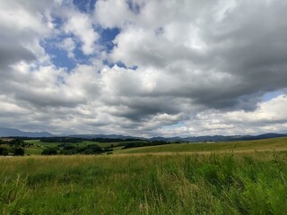 Green fresh grass on the meadow or garden and in the nature. Slovakia