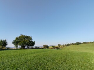 Green fresh grass on the meadow or garden and in the nature. Slovakia