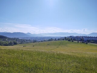 Green fresh grass on the meadow or garden and in the nature. Slovakia