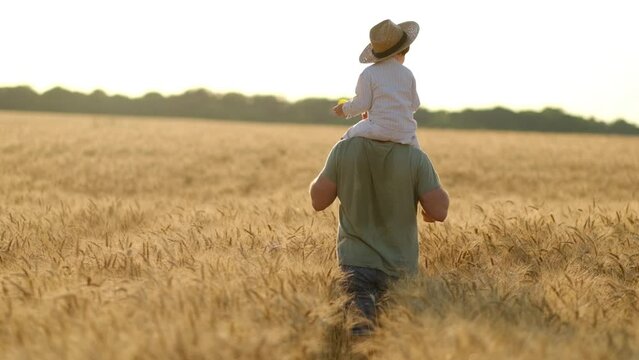 Happy moments of childhood and fatherhood. A little son sits on his father's neck against the backdrop of a wheat field at sunset, rear view, dad and son admire a beautiful golden field with ripe