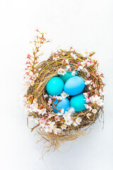 Fototapeta na wymiar Happy Easter - nest with Easter eggs and cherry branch on white background with copy space