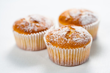muffins on a white background