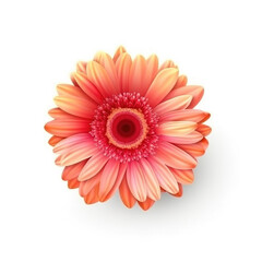 Gerbera flower hear isolated. Illustration AI Generative.