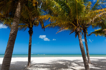 Obraz na płótnie Canvas Beautiful Progreso beach in Mexico
