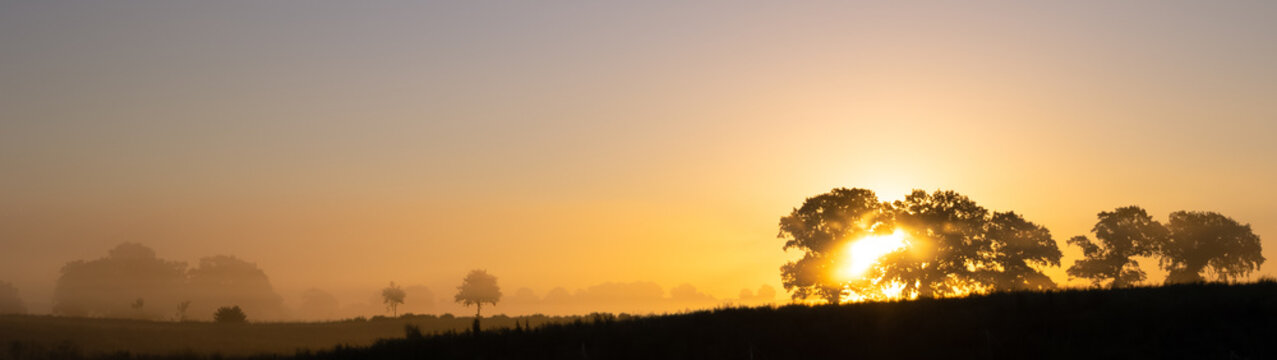 golden morning light with fog on a field in summer, tree funeral, forest burial, green burial	