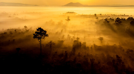Aerial view of landscape forest Sunrise sunset time