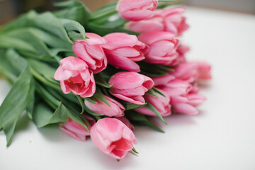 Bouquet of pink tulips on a white background. Copy space. 