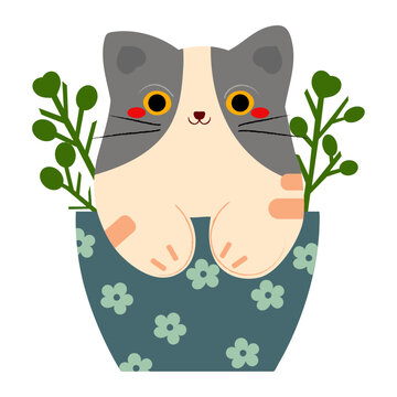 Cat in a flower pot
