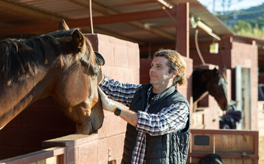 Fototapeta na wymiar Man combing and brushing a horse at the stable on a sunny day
