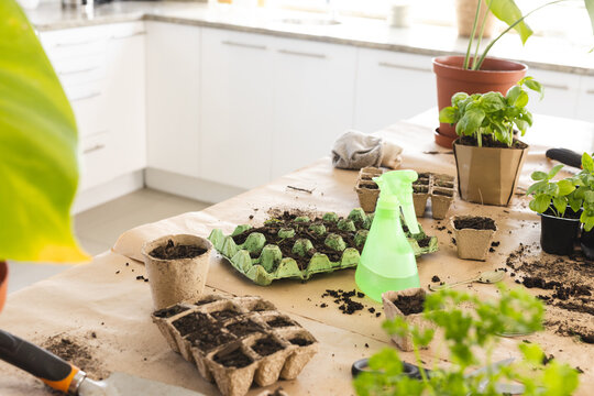High angle view of potted plants with spray bottle, dirt and seedling trays on table at home
