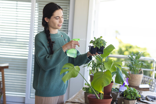 Breaking bad джесси и джейн. приключения сары джейн вторжение бэйнов. Jane tv while i the plants. джейн брейкинг бэд. джесси пинкман и джейн и джейн.