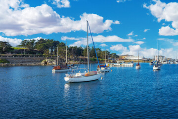 Fototapeta na wymiar Sailboats in the harbor area in Monterey, California
