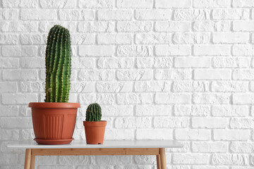 Pots with cacti on table near white brick wall