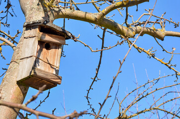 View of wooden bird house on tree