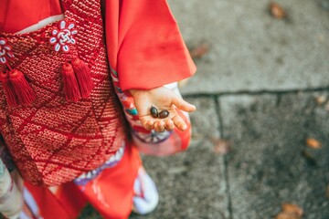 七五三とどんぐり