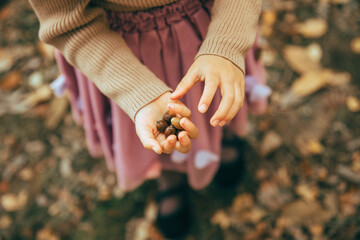 どんぐりと子供 © はるか 三浦