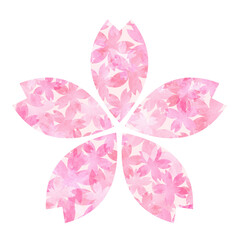  pink flower, cherry blossom