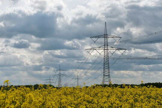 power lines on an Canolo field. symolizes make power from alternative energy