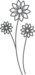 botanical flower line art
