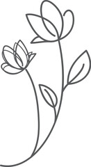 botanical flower line art
