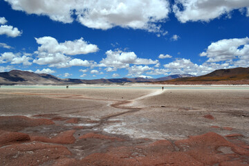 Altiplanic national park