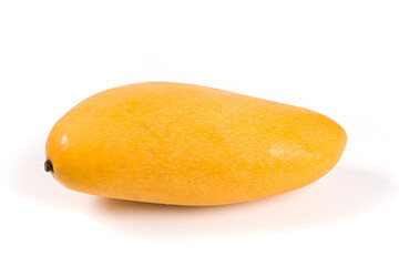 one yellow mango isolated on white background