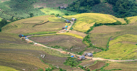 Admire the beautiful terraced fields in Y Ty commune, Bat Xat district, Lao Cai province northwest Vietnam on the day of ripe rice harvest.
