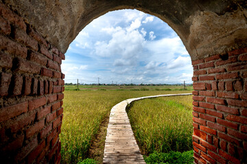 Obraz premium A handmade bamboo bridge winding over the rice fields of farmers in Quang Nam province, Vietnam